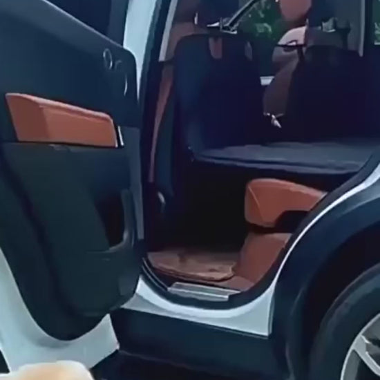 Nova Forge hard-bottom dog seat cover demo — dog standing on the stable platform in a car